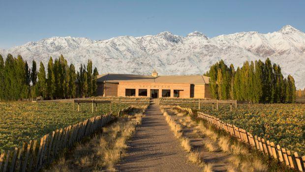imagen de bodega salentein