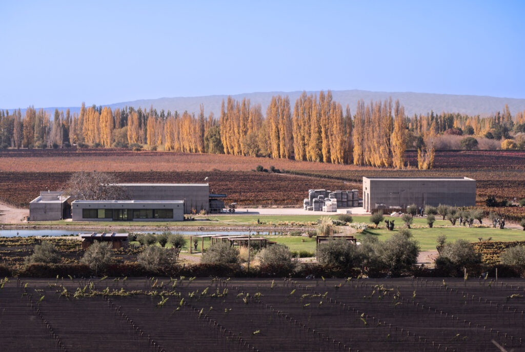 foto de la bodega de la pagina de durigutti