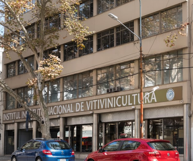 ¡Revolución en el Vino Argentino! Se Derogan 973 Normas del INV: Qué Significa Realmente este Cambio