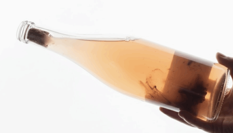 ¿Qué Onda el Pet-Nat?