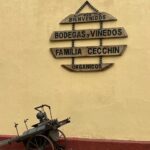 Bodega Cecchin: Visitamos a los Pioneros del Vino Orgánico en Mendoza