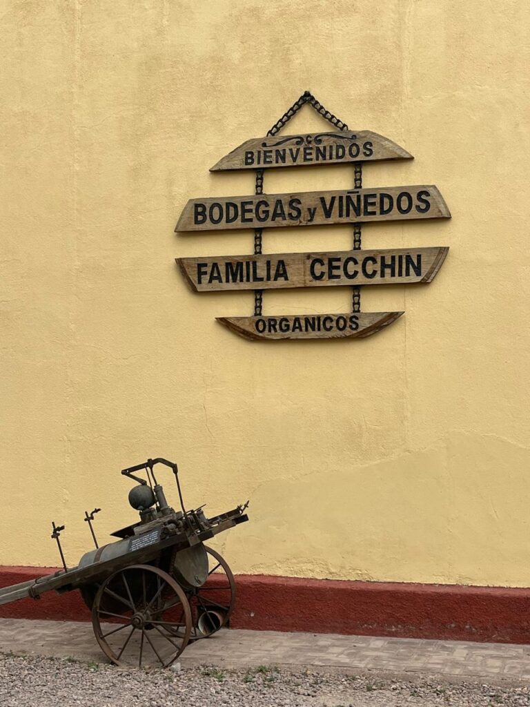 Bodega Cecchin: Visitamos a los Pioneros del Vino Orgánico en Mendoza