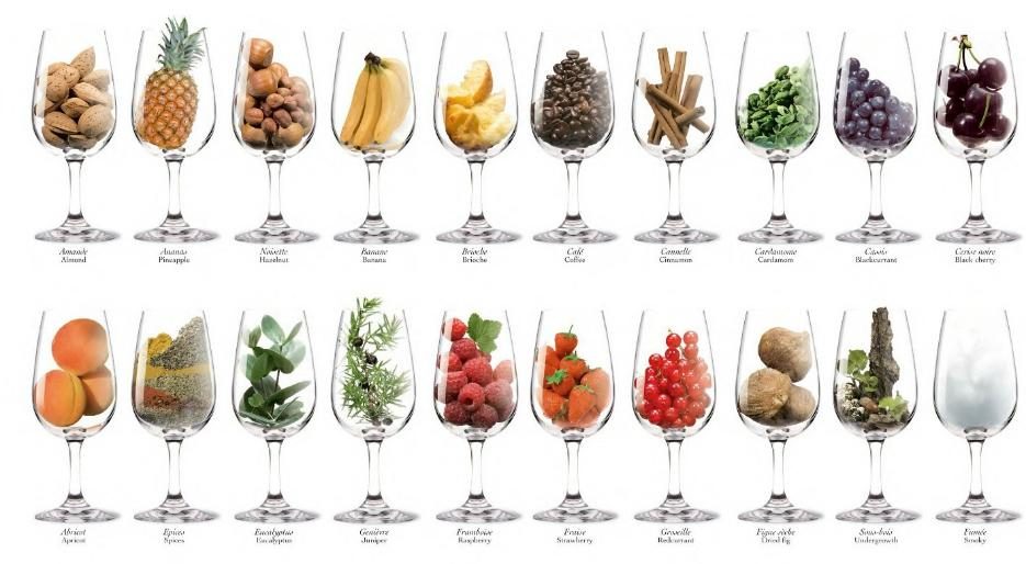 aromas de vino