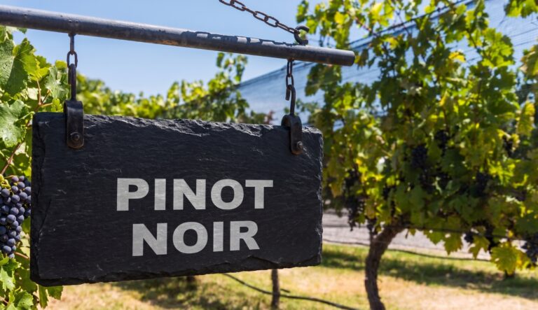 Semana del Pinot Noir: Cuando el frío, el suelo y la elegancia mandan